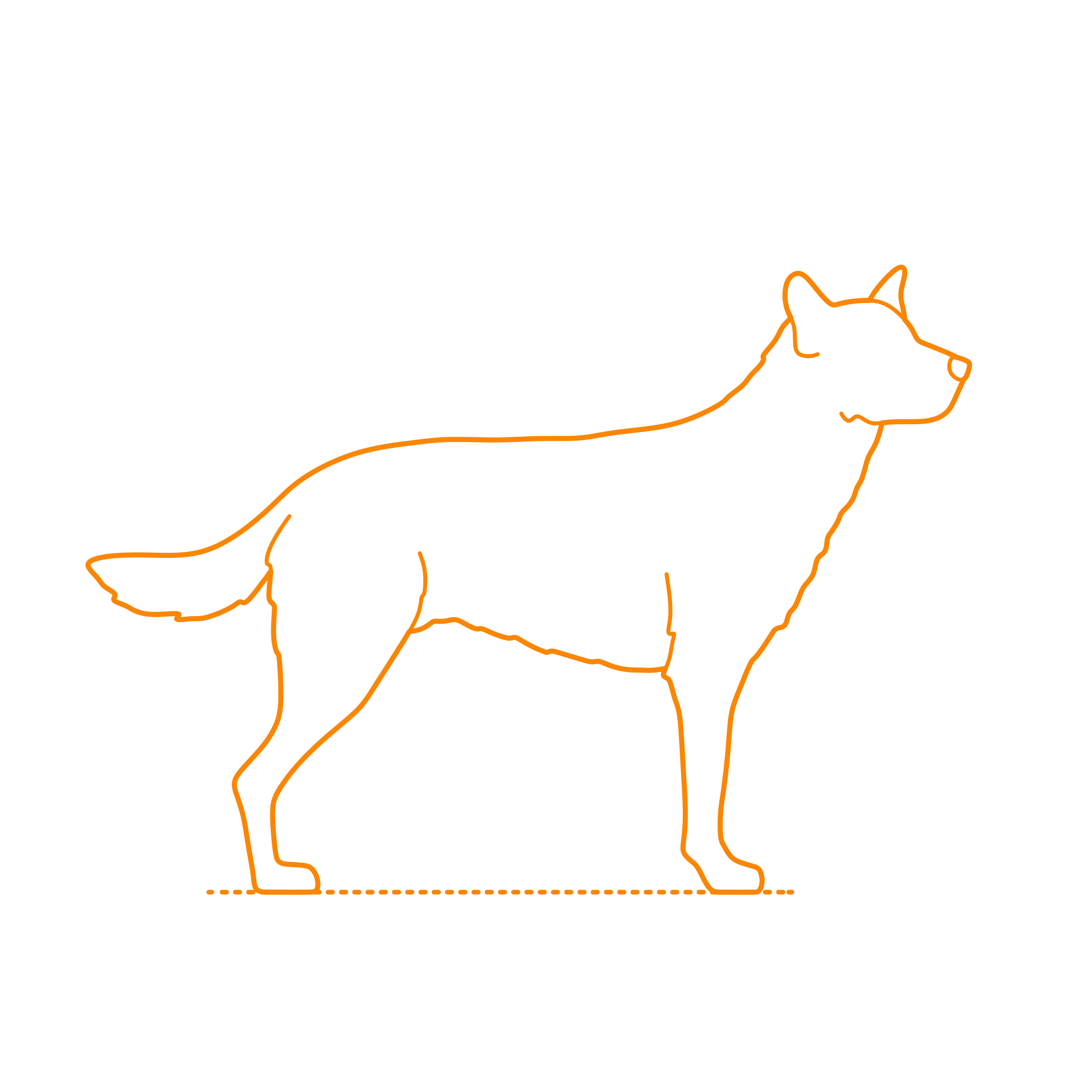 Animals Dogs Chinook Sticker Svg Vector Free Vectors